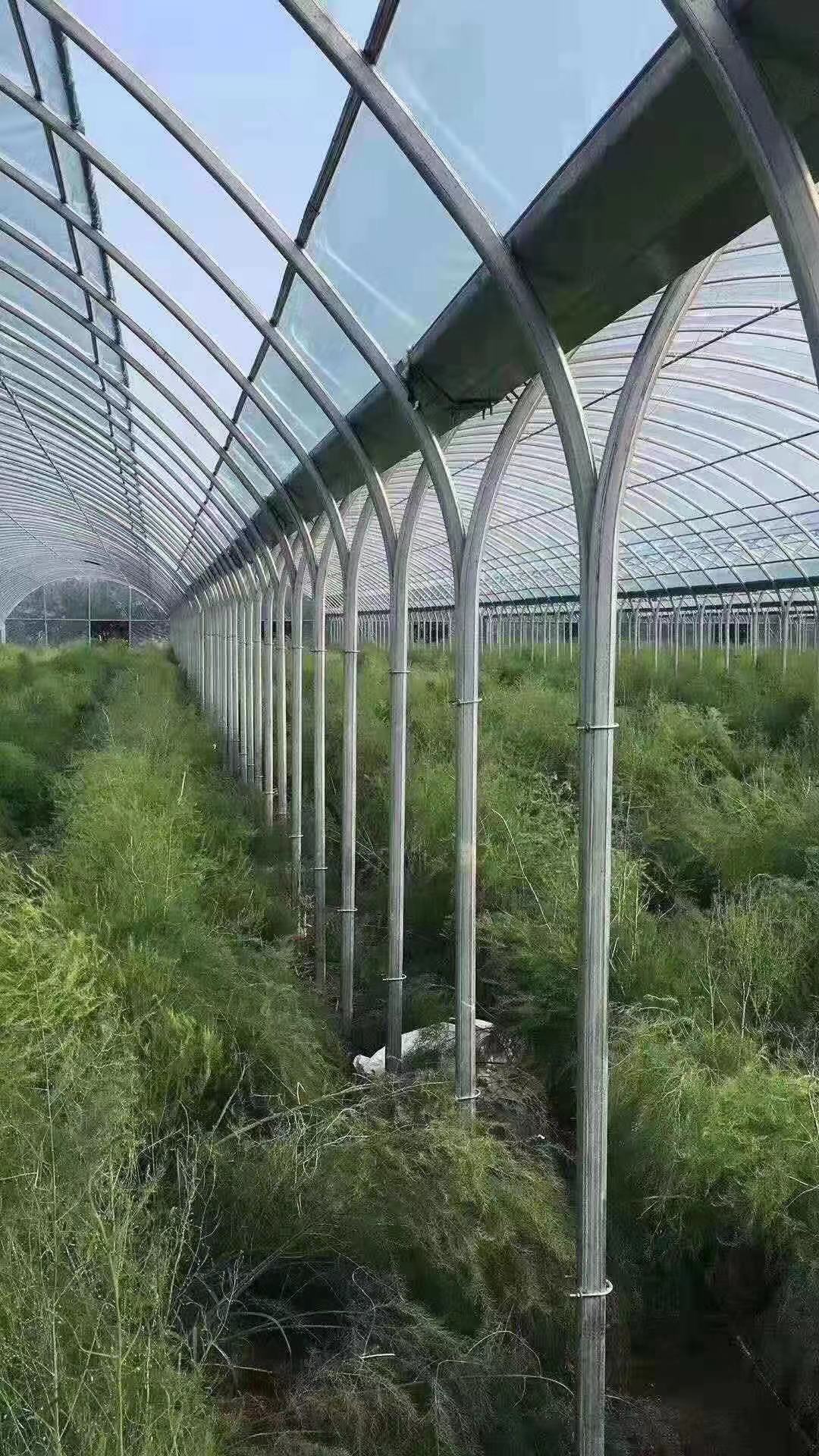 蔬菜大棚中水溶肥的施用技巧